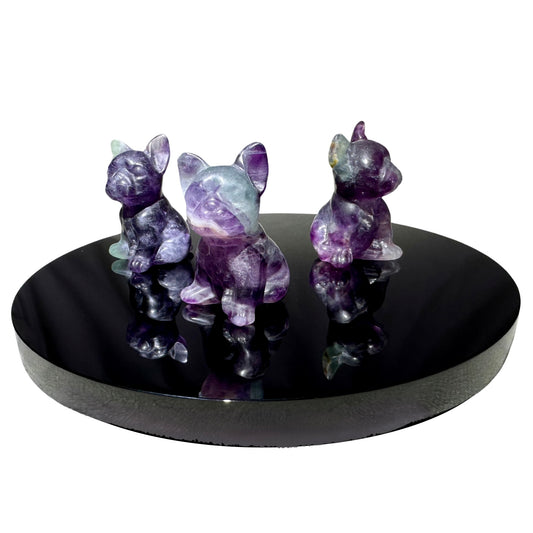 Fluorite Hund